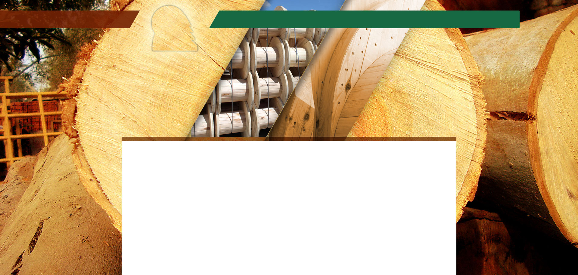 Tartak Zębowo — widok na zakład